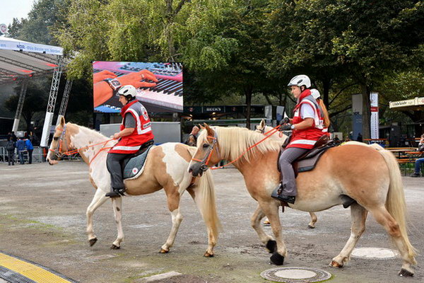 Dt_Einheit_2014   043.jpg